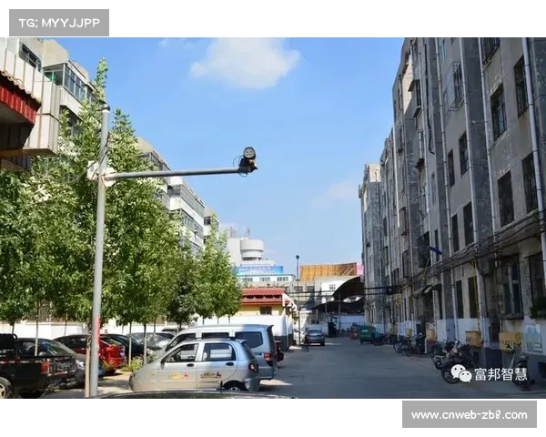 垒球运动融入社区日常，助力构建和谐宜居环境